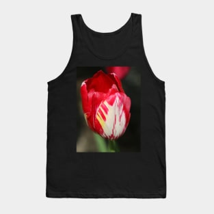 eine Tulpe rot und weiss Tank Top